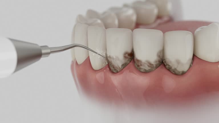 Reliable Dental contractor in Mount Airy, NC by Dentist Open Now